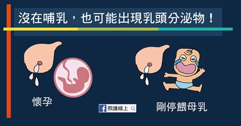 女生奶頭有毛|關於女性乳頭的10個祕密 變硬凸起 ≠ 性興奮 